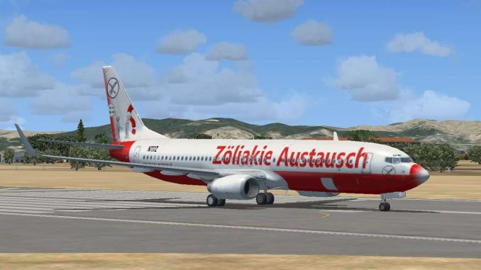 Glutenfrei Reisen - Flugzeug