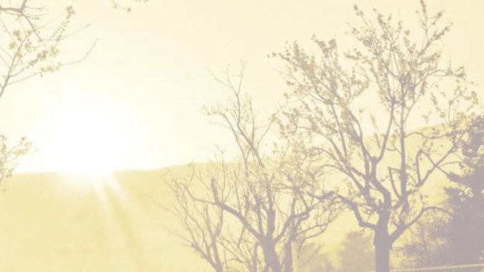 Dr__Almond_Banner
