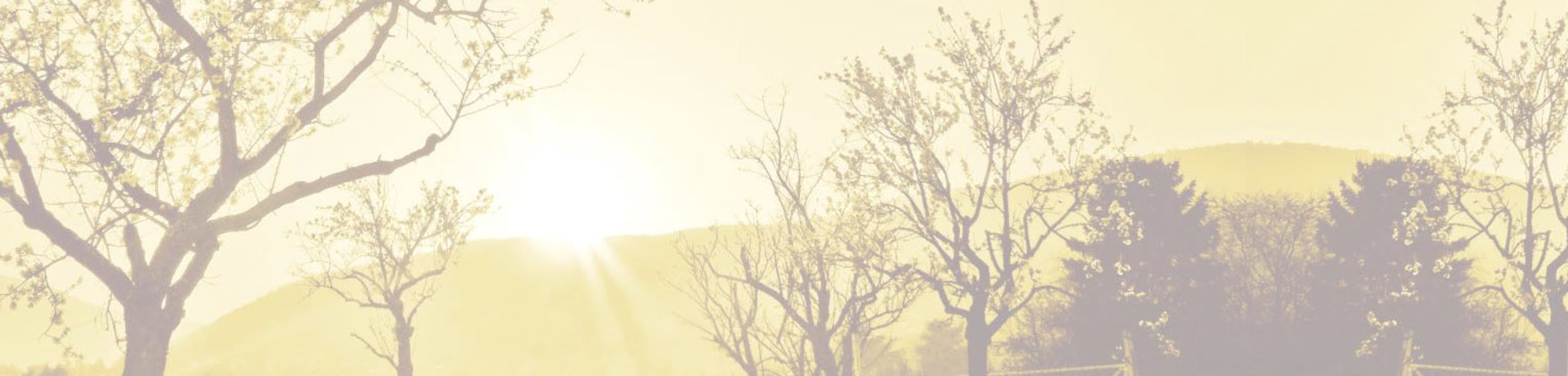 Dr__Almond_Banner