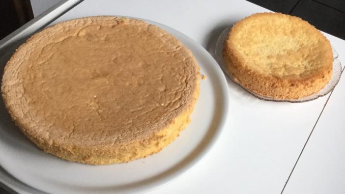 Trudel_Biskuitteig_1