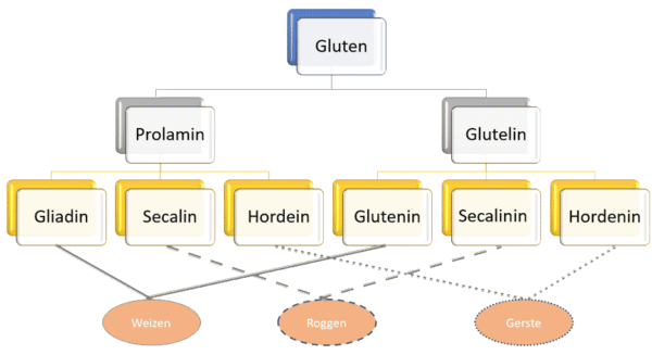 Wie Spricht Man Gluten Aus www.zoeliakie-austausch.de