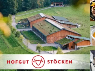 Hofgut Stöcken - Glutenfreie Bio-Fertiggerichte