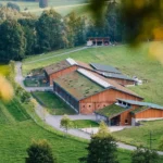Glutenfreie Bio-Fertiggerichte vom Hofgut Stöcken