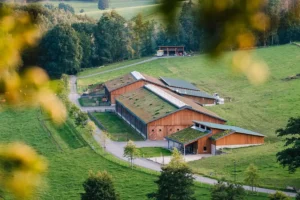 Glutenfreie Bio-Fertiggerichte vom Hofgut Stöcken